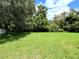 Spacious backyard with a well-maintained lawn and mature trees, offering privacy at 28451 Great Bend Pl, Wesley Chapel, FL 33543