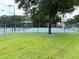 Neighborhood recreation area features manicured green lawn and an aqua-surfaced recreation zone at 28451 Great Bend Pl, Wesley Chapel, FL 33543