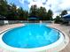 Beautiful community swimming pool with clear blue water, lounge chairs and shade at 28451 Great Bend Pl, Wesley Chapel, FL 33543