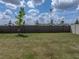 A green backyard featuring a sturdy dark colored perimeter fence topped with decorative white pillars at 30739 Penny Surf Loop, Wesley Chapel, FL 33545