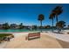 Inviting outdoor seating area with a bench, palm trees, and a scenic view of the waterfront at 4900 Brittany S Dr # 502, St Petersburg, FL 33715