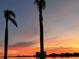 Beautiful sunset view with palm trees framing the waterfront property at 4900 Brittany S Dr # 502, St Petersburg, FL 33715