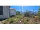 Overgrown backyard with buildings in the background under a bright blue sky at 702 Whitehurst Rd, Plant City, FL 33563
