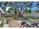 The large tree in the backyard provides ample shade and character at 3004 Rolling Acres Pl, Valrico, FL 33596