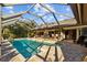 Sparkling pool and spa surrounded by a screened-in patio and lush tropical landscaping at 3579 Landmark Trl, Palm Harbor, FL 34684