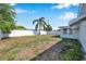 Large backyard featuring a white privacy fence and a mature palm tree at 3624 Hendrix St, New Port Richey, FL 34652