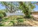 Spacious backyard featuring lush green grass and a privacy fence at 8816 Memorial Hwy, Tampa, FL 33615