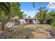 Wide view of the backyard showcasing the covered patio and mature trees surrounding the property at 108 5Th St, Belleair Beach, FL 33786