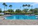 Community pool features a separate lap-swimming section and surrounding lounge areas with palm trees and seating at 10922 Holly Cone Dr, Riverview, FL 33569