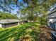 Grassy backyard with mature trees and view of other units at 1303 N Mcmullen Booth Rd # 1303, Clearwater, FL 33759