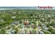 Aerial view of lush neighborhood with Tampa Bay in the distance, showing mature trees and serene surroundings at 1310 Country Trails Dr, Safety Harbor, FL 34695