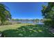 Spacious backyard with lush lawn and tranquil lake view, framed by mature trees and vibrant greenery at 1324 Eckles Dr, Tampa, FL 33612