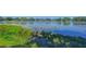 Scenic lake view with natural shoreline, showcasing aquatic vegetation and calm waters at 1324 Eckles Dr, Tampa, FL 33612