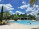 Community pool with arbor, palm trees, lounge seating, and beautiful blue sky with fluffy white clouds at 33034 Sand Creek Dr, Wesley Chapel, FL 33543
