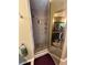 Bathroom featuring a shower with built-in shelving units and a mirrored door at 3913 Little Egret Ct, Lutz, FL 33558