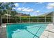 Sparkling pool with screened enclosure, surrounded by lush green landscaping and clear blue sky at 4769 Stoneview Cir, Oldsmar, FL 34677