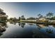 Community pond with grassy banks and trees at 6238 92Nd N Pl # 3201, Pinellas Park, FL 33782