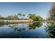 Community pond surrounded by trees and homes at 6238 92Nd N Pl # 3201, Pinellas Park, FL 33782