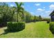 Well-maintained backyard with manicured lawn, mature landscaping, and black metal fence for privacy and aesthetics at 6307 Salt Creek Ave, Apollo Beach, FL 33572