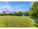 Beautiful backyard view showcasing lush greenery, blue skies and a glimpse of the house at 807 W Braddock St, Tampa, FL 33603