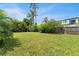 Large backyard with lush green grass, fence and mature landscaping at 807 W Braddock St, Tampa, FL 33603
