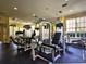 Community gym featuring modern workout equipment, machines, and natural light at 810 Island Walk Dr # 810, Tampa, FL 33602