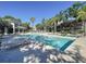 Community pool featuring lounge chairs, palm trees, and well-maintained landscaping at 810 Island Walk Dr # 810, Tampa, FL 33602