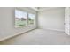 Bright bedroom features two windows, neutral carpet, light walls, and base trim molding at 11834 Mile Marsh Dr, Riverview, FL 33569