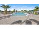 Large community pool surrounded by palm trees and lounge chairs for residents enjoyment at 14256 Eagle Branch Dr, Nokomis, FL 34275