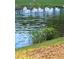Flock of pelicans swimming in a calm community pond with lush green vegetation along the shoreline at 211 Royal Bonnet Dr, Apollo Beach, FL 33572