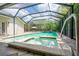 Screened-in pool area with a built-in spa and lush tropical landscaping, perfect for relaxation at 211 Royal Bonnet Dr, Apollo Beach, FL 33572