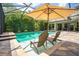 A refreshing screened pool with an umbrella and lounge chairs for relaxation in a tropical setting at 211 Royal Bonnet Dr, Apollo Beach, FL 33572
