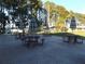 Well-maintained community picnic area featuring multiple tables and umbrellas, ideal for outdoor gatherings at 776 Lakewood Dr, Palm Harbor, FL 34684