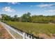 A picturesque backyard with lush greenery and a charming white picket fence at 8335 Fountain Ave, Tampa, FL 33615
