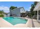 Stunning backyard featuring a sparkling pool, screened patio, and tropical landscaping at 8704 Tarrington Pl, Tampa, FL 33635