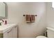 Compact powder room featuring a modern vanity, mirror, and a decorative hand towel at 9814 Ashburn Lake Dr, Tampa, FL 33610