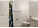 Modern bathroom with a vanity and toilet; a colorful shower curtain partially in view at 9814 Ashburn Lake Dr, Tampa, FL 33610