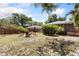Large backyard with a firepit area, chairs, and a shed with grass all around at 1222 E Powhatan Ave, Tampa, FL 33604