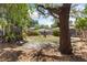 A spacious backyard featuring a large tree, wooden fence, and space to relax in the grass at 1222 E Powhatan Ave, Tampa, FL 33604