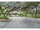 Property showcasing mature oak trees that create a beautiful, shaded yard at 15053 Peace Blvd, Spring Hill, FL 34610