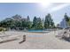 Community pool featuring lounge chairs, tables, umbrellas, and surrounding trees at 2557 Laurelwood Dr # 10E, Clearwater, FL 33763
