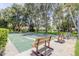 Community shuffleboard courts surrounded by mature trees and park benches for relaxing recreation at 2557 Laurelwood Dr # 10E, Clearwater, FL 33763