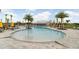Large community pool featuring lounge chairs, palm trees, umbrellas and views of the community clubhouse at 32978 Tulip Petal Ln, Wesley Chapel, FL 33545