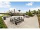 Nice community picnic area with charcoal grills, picnic tables, and lush greenery in a fenced outdoor setting at 32978 Tulip Petal Ln, Wesley Chapel, FL 33545
