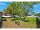 Lush backyard showcasing a mature shade tree and manicured lawn, offering a serene outdoor space at 506 Spring Tree Ct, Tarpon Springs, FL 34689