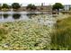 Beautiful community pond with lily pads and fountain creating a serene environment at 5915 18Th N St # 11, St Petersburg, FL 33714