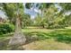 A backyard with lush green grass and mature trees, including a rope swing at 60 Woodridge Cir, Oldsmar, FL 34677