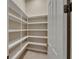 Spacious walk-in pantry with plenty of shelving for organized storage at 607 Vintage Way, Brandon, FL 33511