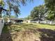 Expansive backyard featuring a white fence, lush lawn, and mature shade trees at 809 Scotland St, Dunedin, FL 34698
