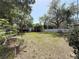 Expansive backyard featuring a white fence, lush lawn, and mature shade trees at 809 Scotland St, Dunedin, FL 34698